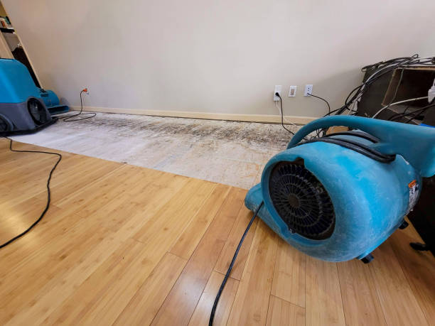 Professional Flood Damage Cleanup technician working in Danville, IL